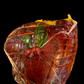 Traditional Honey Roast Ham on Bone (Fully Cooked)